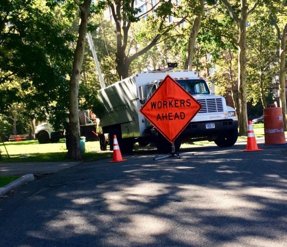 Roosevelt Island Year in Pictures, 2018: Part Two On one brutal day, RIOC sent contractors in to destroy legacy trees on the Rivercross Lawn without community notice or discussion.